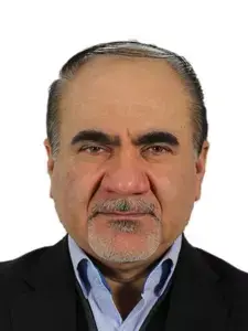 Professor Ali Shafaghat