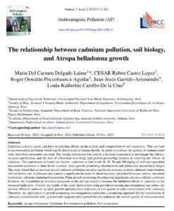 The relationship between cadmium pollution, soil biology, and Atropa belladonna growth