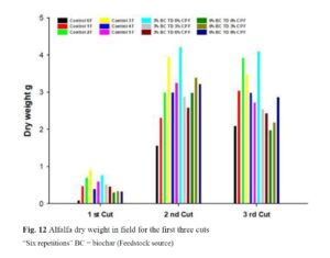 Effect of biochar, biocompost and manure on the growth and productivity of alfalfa (Medicago sativa L.) Field and pots study