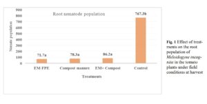 Controlling root-knot nematode Meloidogyne incognita in tomatoes using modified effective microorganisms-fermented plant extract and compost manure