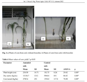 Evaluation of the potential use of biosolids in corn crop in the municipality of Puebla, Mexico