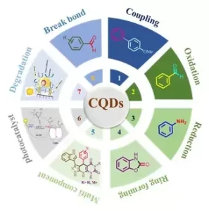 Carbon Quantum Dots (CQDs) As a multipurpose catalyst