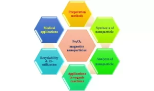 Recent Progress in Fe3O4 Nanoparticles and Their Green Applications in Organic Transformations