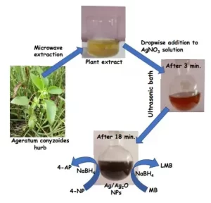 Synthesis of Ag-Ag2O nanoparticles using Ageratum conyzoides leaf extract for the catalytic reduction of nitrobenzene and methylene blue and antibacterial applications