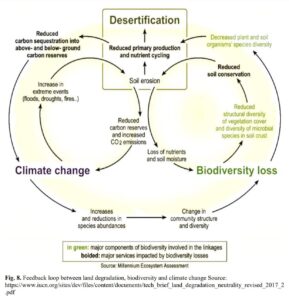 Land Degradation Neutrality in the World’s Rangelands Contemporary Approaches to Old Problems Using New Solutions