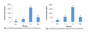 Relationship among Plant Measurements of Salsola turcomanica (Litv) and Soil Properties in Semi-arid Region of Golestan Province, Iran