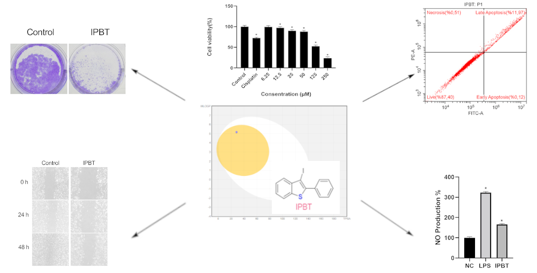 Synthesis, in Silico pharmaceutical properties, anticancer and antiinflamatory activities of novel Benzo[b]thiophene derivative