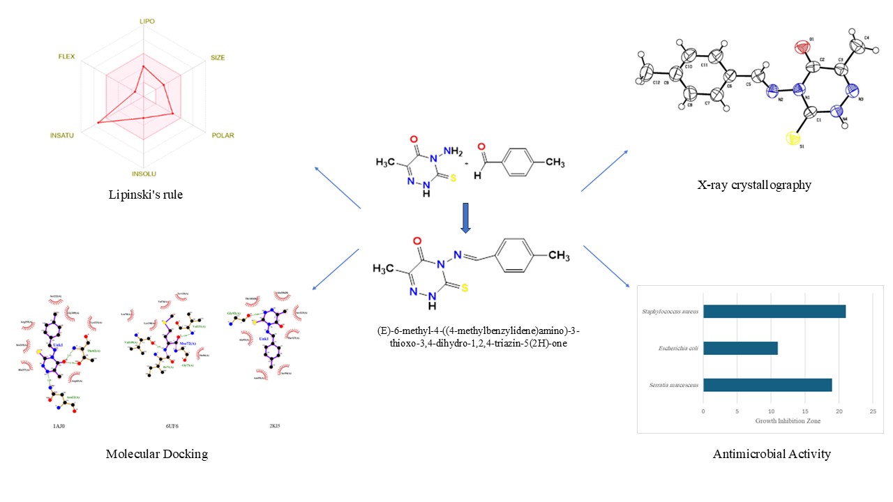 In Vitro Evaluation, Molecular Docking, and Lipinski’s Rule Analysis of a new Triazinone-Based Schiff Base for Potential Pharmacological Applications
