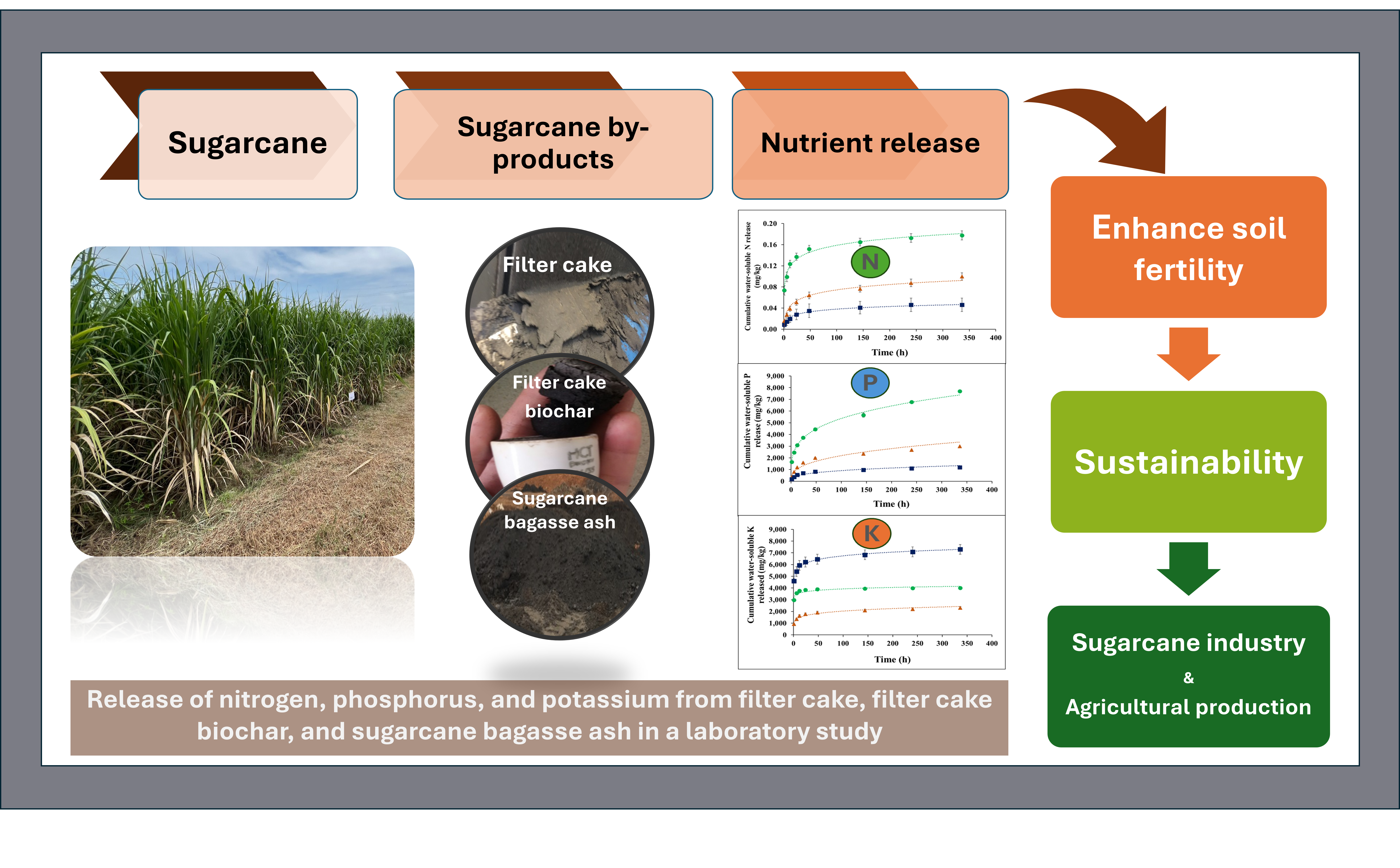 Release of Nitrogen, Phosphorus, and Potassium from  Filter Cake, Filter Cake Biochar, and Sugarcane  Bagasse Ash in a Laboratory Study