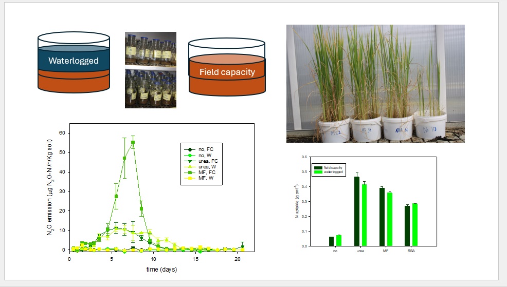Digestate: Scope and application as nitrogen fertilizer for rice