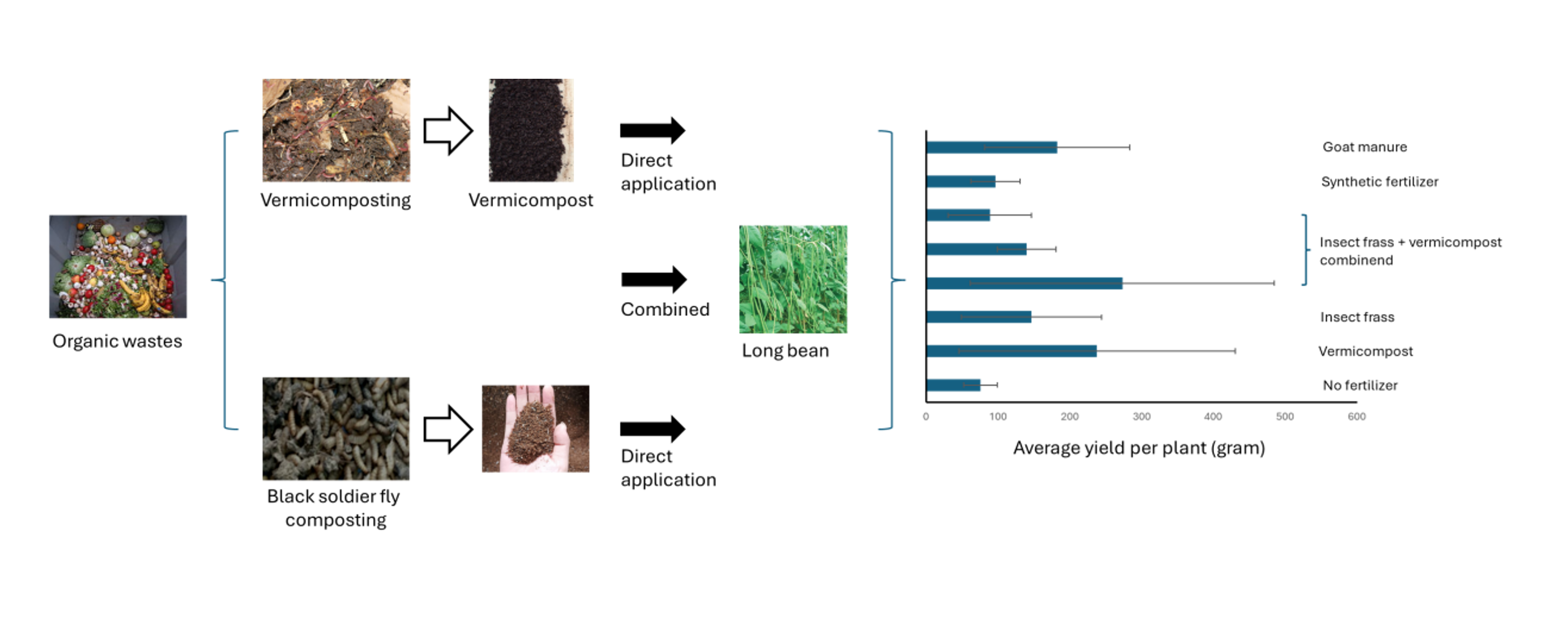 Impact of combination of vermicompost and insect frass on long bean growth and productivity at urban farming