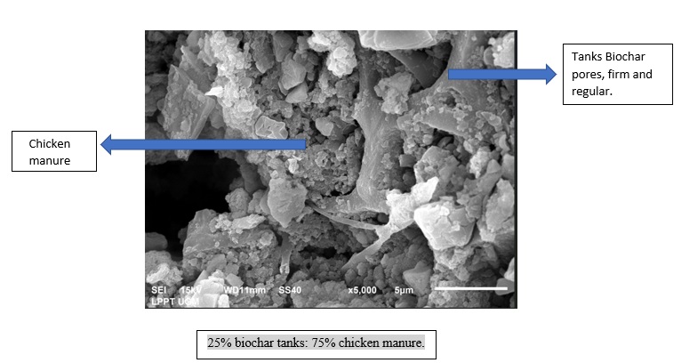 Effect of the combination tanks biochar and chicken manure on availability of nutrients and yields of Purple Eggplant