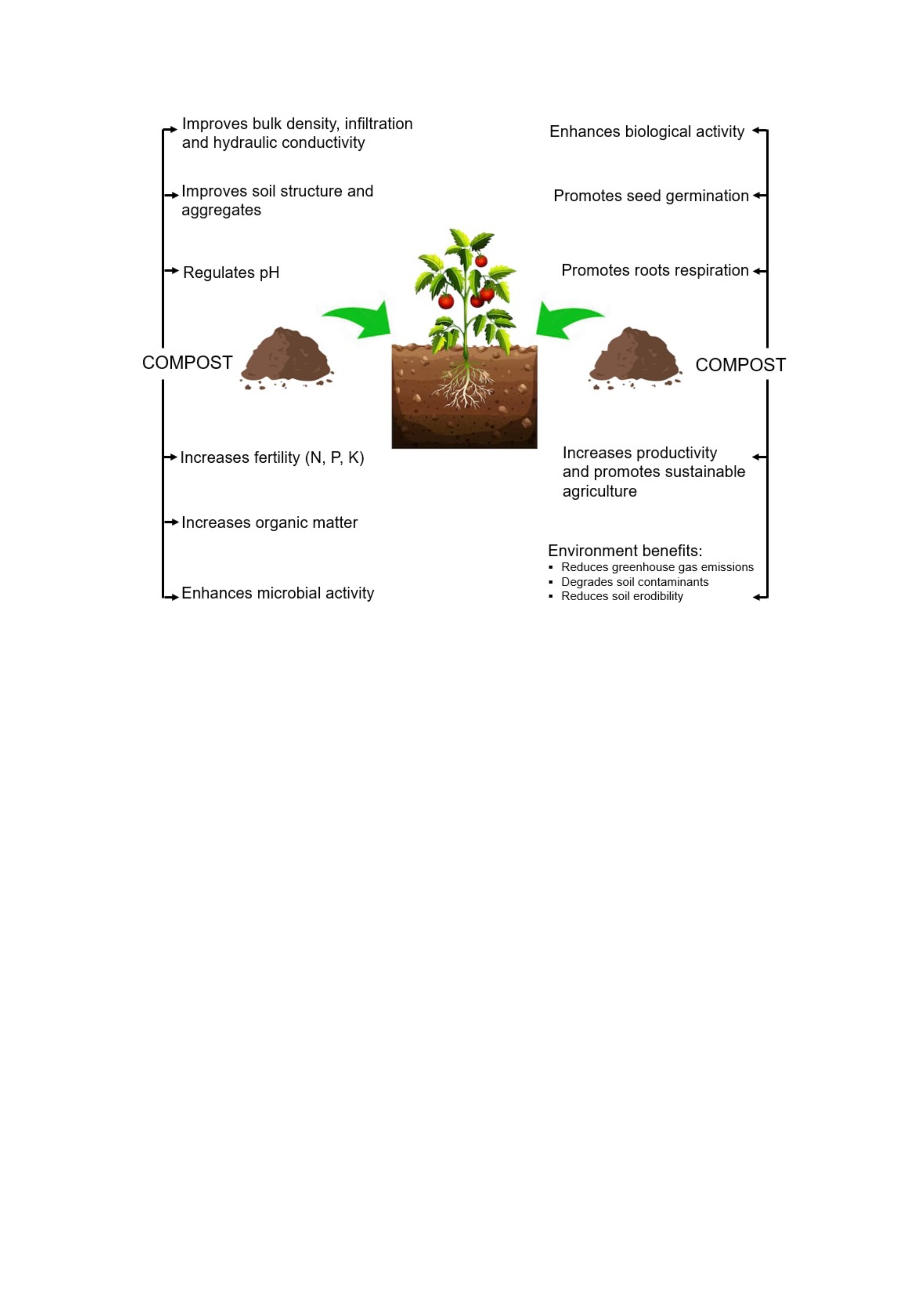 The effects of compost application on soil properties: Agricultural and environmental benefits