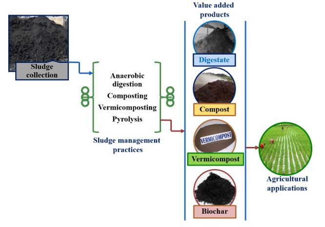 Sustainable methodical approaches to recycling sludge waste: value-added products, and their agricultural applications