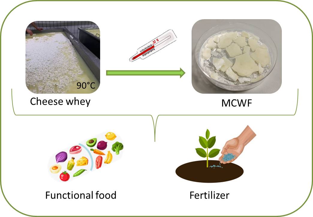 Valorization of buffalo mozzarella cheese whey as human functional food and soil fertilizer