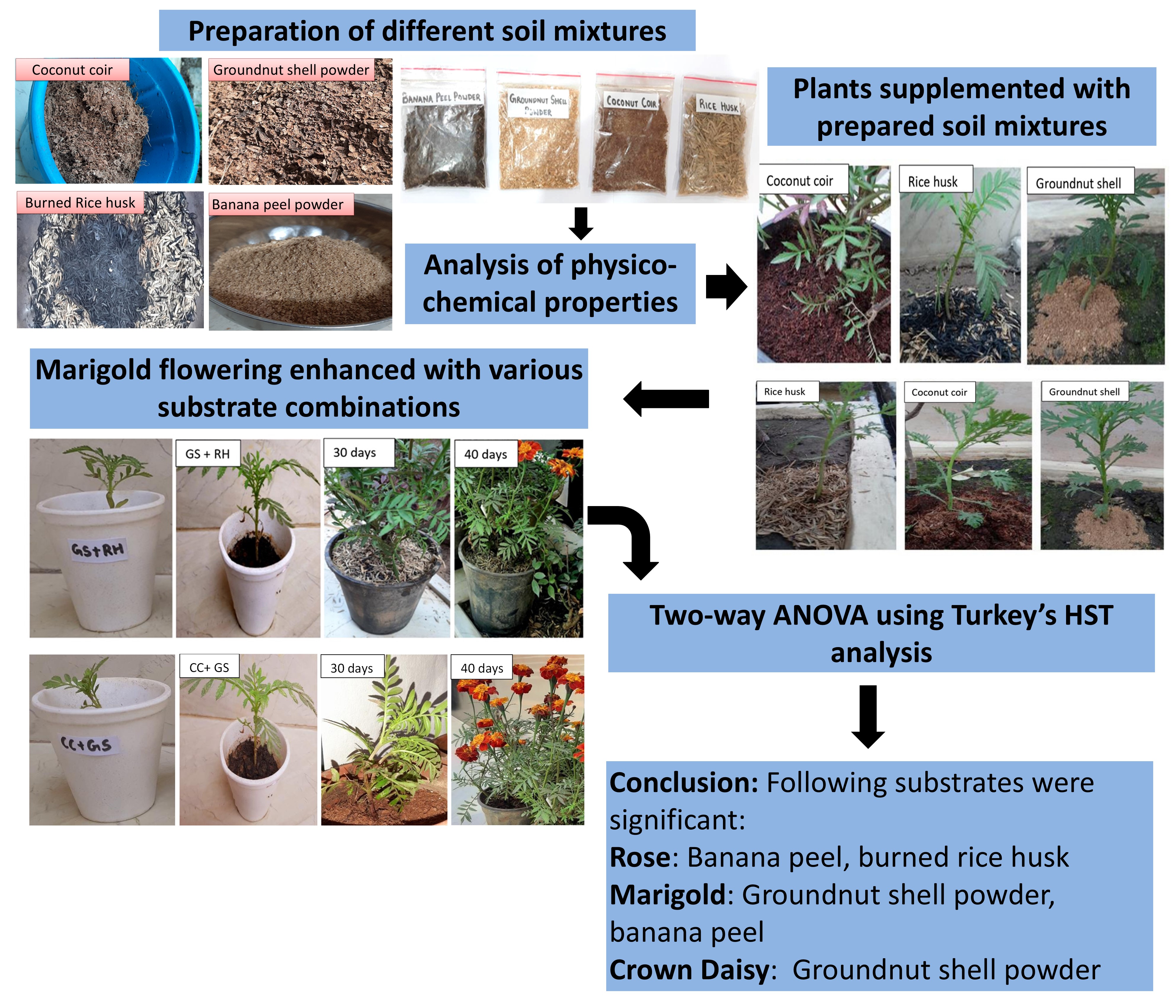 Impact of potential biodegradable substrates on aromatic/ornamental plant growth and development