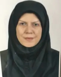  Dr. Saeideh Ahanghari