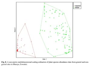 The Influence of Cattle Grazing on Plant Species Composition in a Mesic Montane Region of Southern Africa