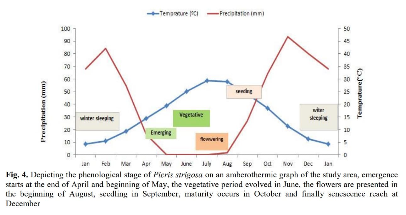 Determination of Allowable Use and Grazing Tolerance of Picris strigosa (Case Study Blooman rangelands, Lorestan Province, Iran)
