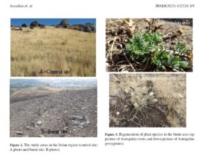 Effects of Fire on Vegetation Cover and Forage Production of Solan Rangeland in Hamadan Province, Iran