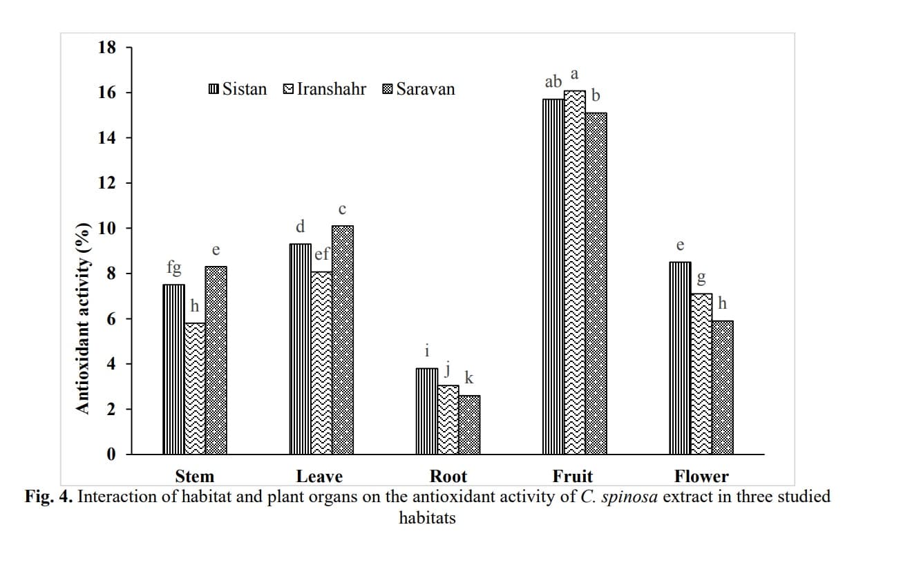 Investigation Phenol, Flavonoids and Antioxidant Activity Content of Capparis spinosa in Three Natural Habitats of Sistan and Baluchestan Province, Iran