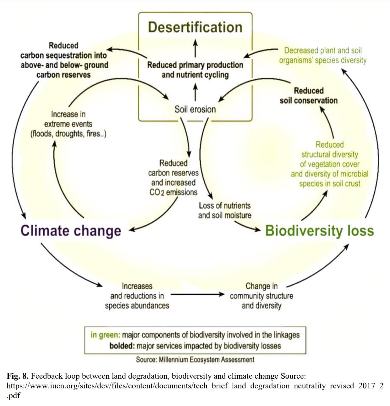 Land Degradation Neutrality in the World’s Rangelands Contemporary Approaches to Old Problems Using New Solutions