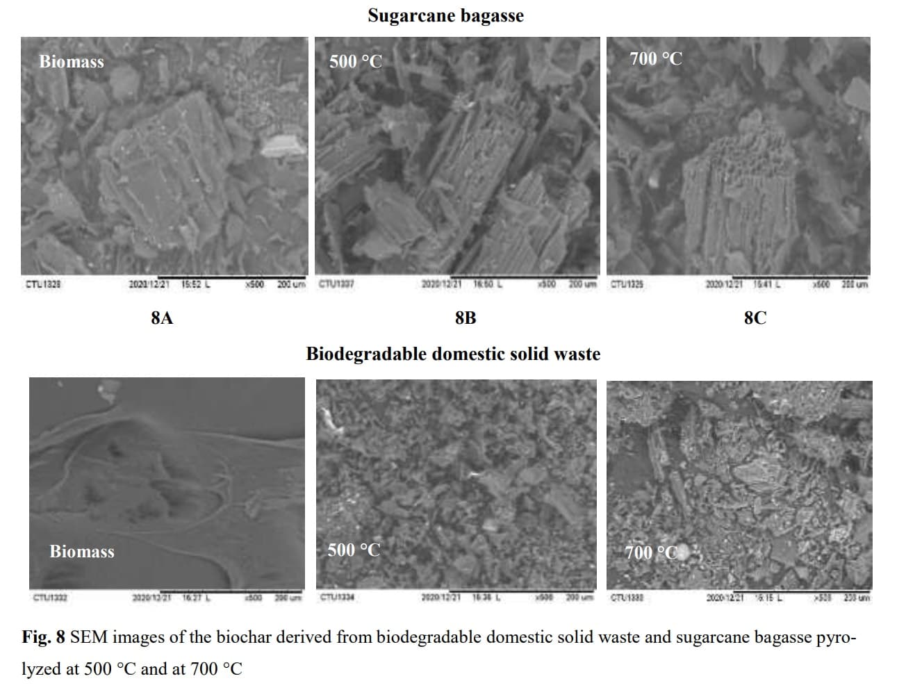 Physicochemical properties of biochar produced from biodegradable domestic solid waste and sugarcane bagasse