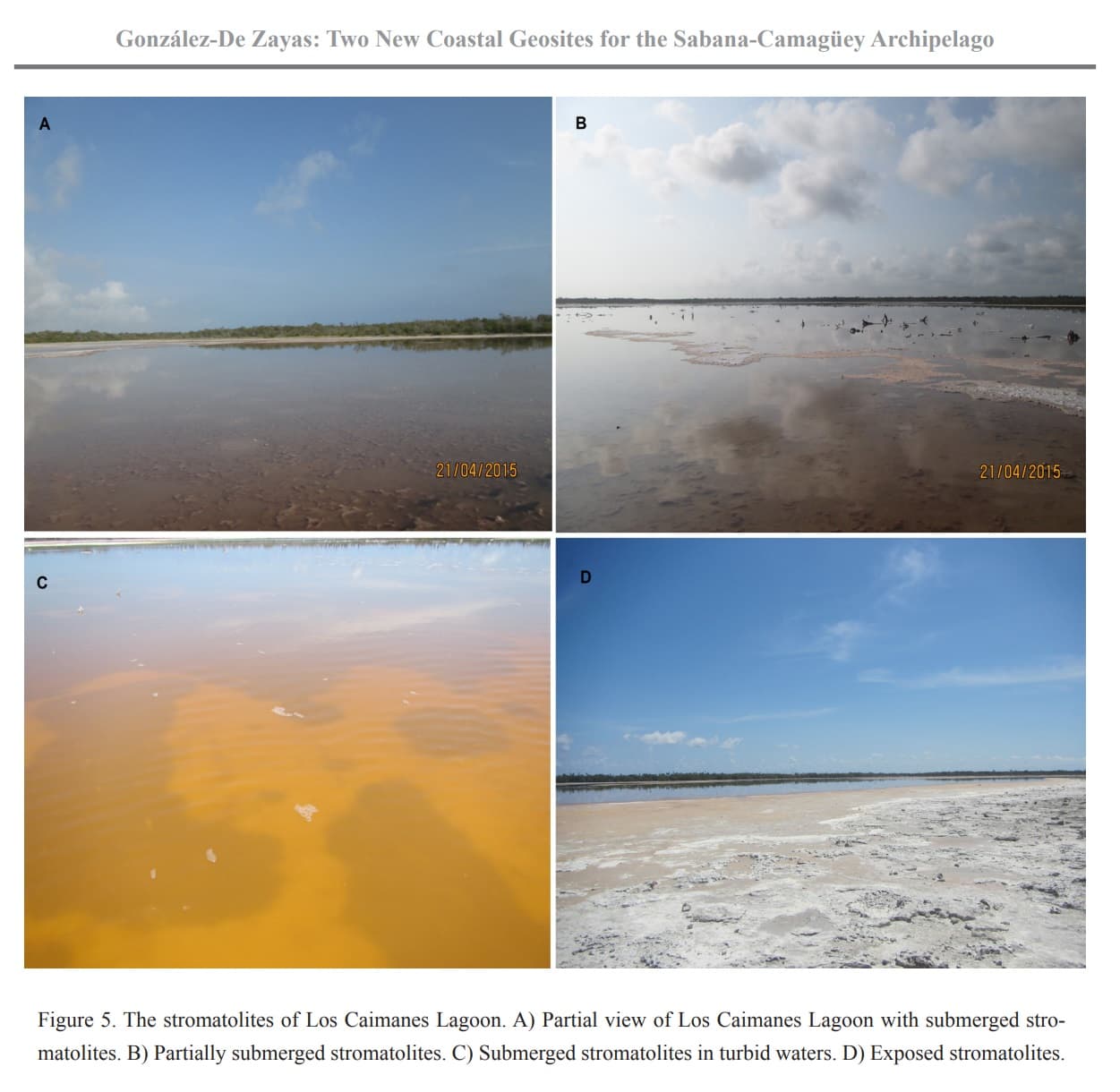 Proposal for Geoconservation of Two New Coastal Geosites for the Sabana-Camagüey Archipelago, Cuba Los Caimanes and El Jato Lagoons