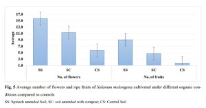 Spinach powder as soil conditioner enhances physiochemical properties of soil and growth characteristics of Solanum melongena